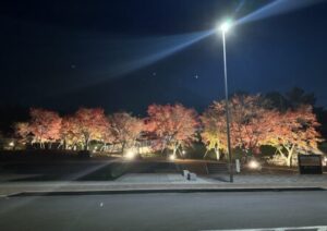 今週の出来事〜269〜